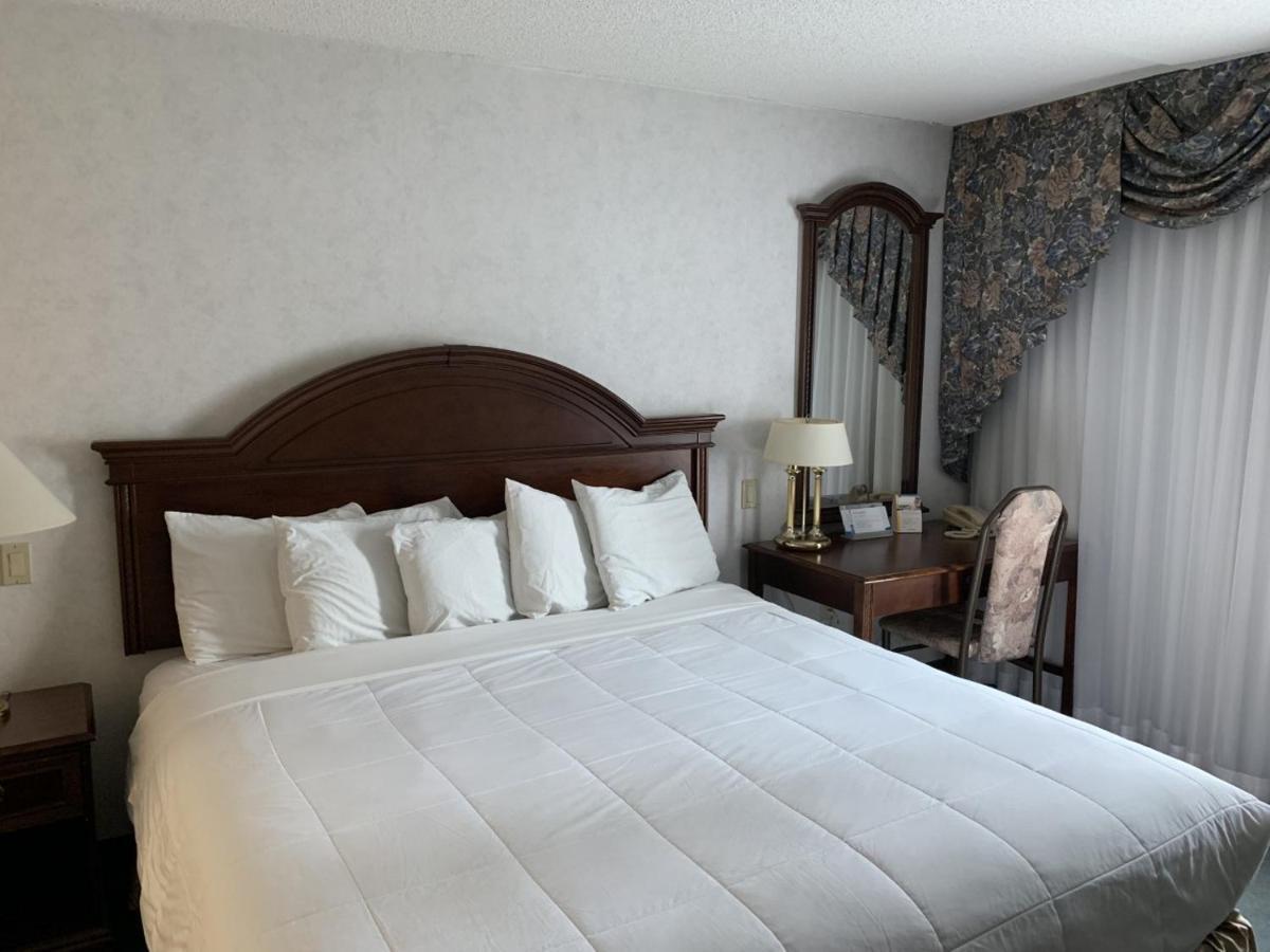 Chambre Lit King-Size - Non-Fumeurs