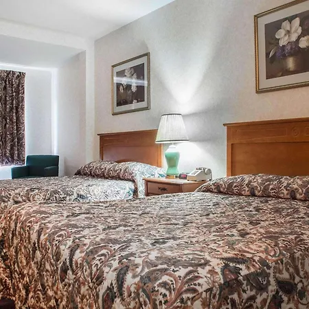 Econo Lodge By The Falls-3