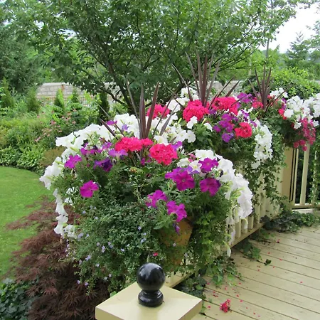 Bedham Hall B&B-3